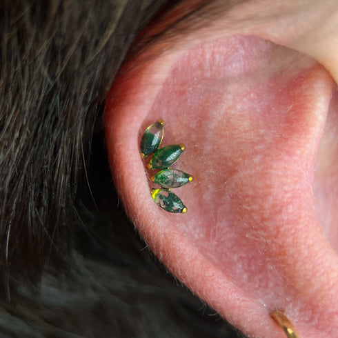 Titāna sūnu ahāts, daudzkārtējs marķīza labret spraudnis